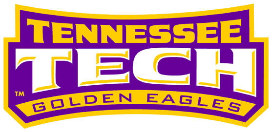 Tennessee Tech Golden Eagles 2006-Pres Wordmark Logo t shirts iron on transfers